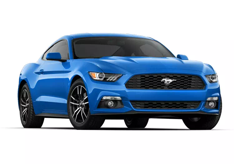 Mustang VI